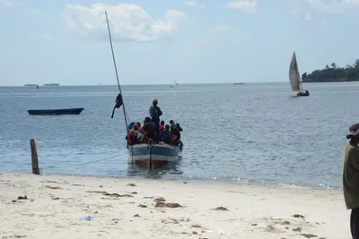 DSC_7611 (Large).JPG